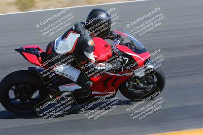 media/Apr-09-2023-SoCal Trackdays (Sun) [[333f347954]]/Turn 12 Inside (930am)/